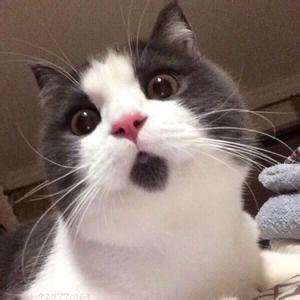 哪些护肤品和化妆品是代购炒的火热实际并不好用？你中招了几款？