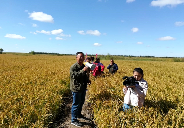 水稻丰收的喜悦,水稻丰收喜悦