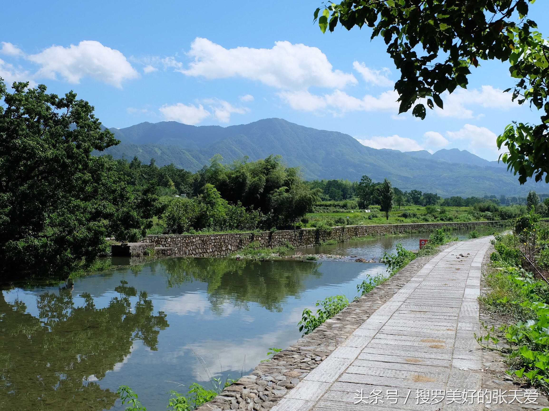 自然环境酒店,最美黄山酒店