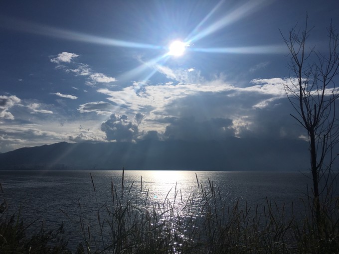 云南大理丽江六日游纯玩团直播,昆明大理丽江双飞六日游多少钱