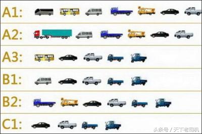 什么驾照能开什么车型图片,哪些驾照能开c1车型