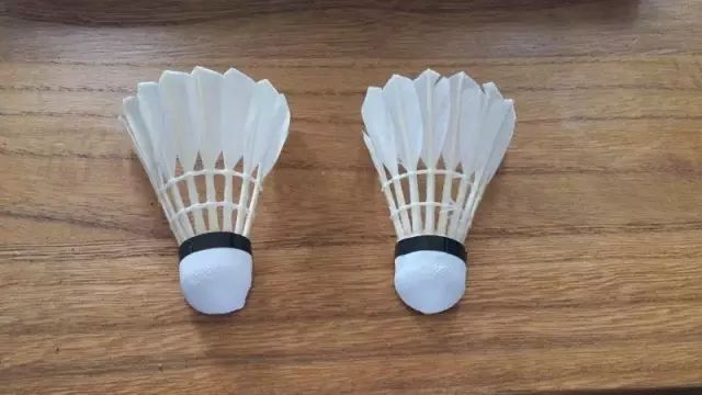 从*片毛**、球头、胶水和工艺，来判断羽毛球的质量，是最可靠的方法