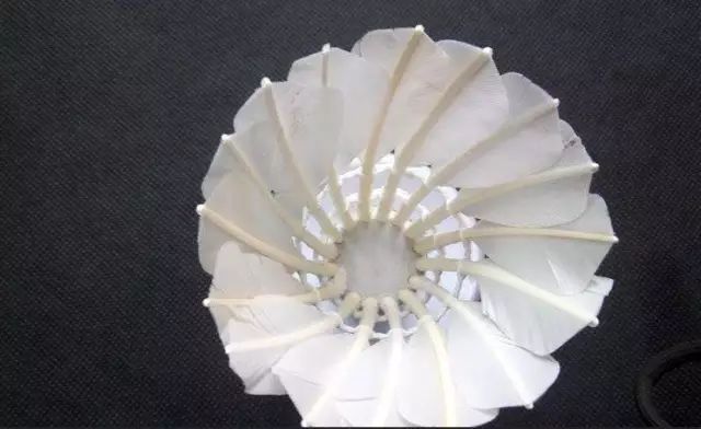 从*片毛**、球头、胶水和工艺，来判断羽毛球的质量，是最可靠的方法