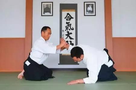 合气道相当于中国的什么武术,以柔克刚是什么格斗术