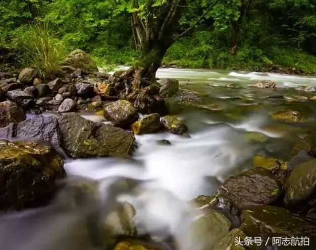 长阳周边的保护区,长阳国家级森林公园图片