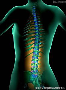背部健康,背部健康知识