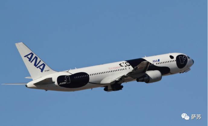 四川地震熊猫爬树躲避,汶川地震时受惊的熊猫