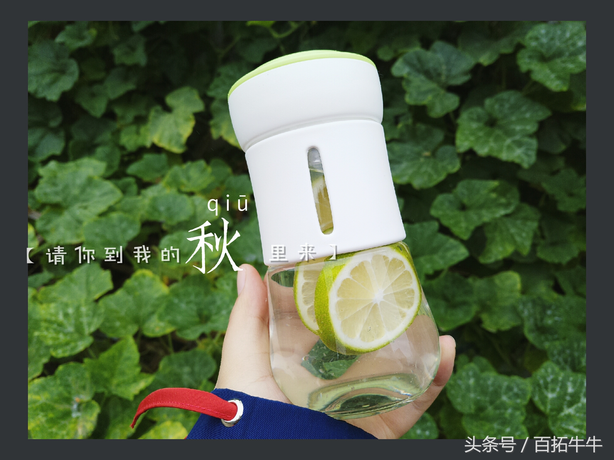 感受真正的轻奢,从细节看轻奢