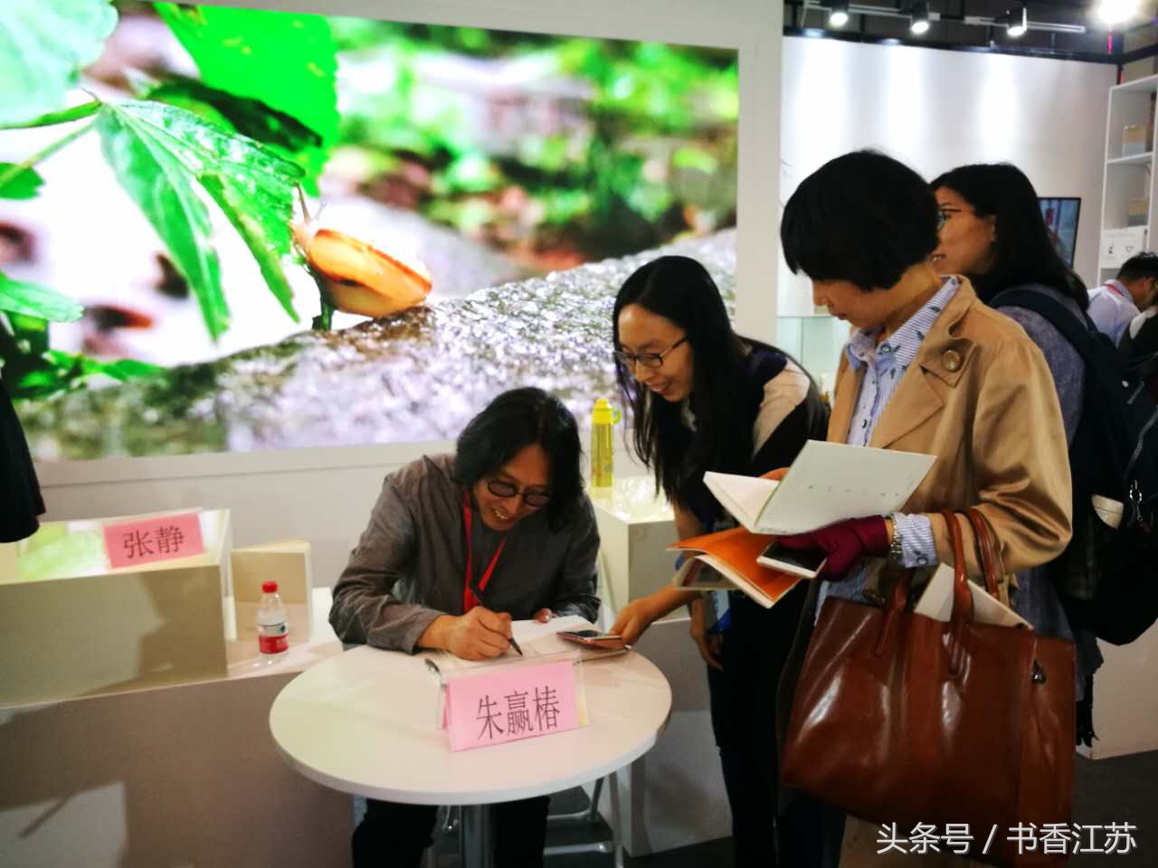 朱赢椿最美书,世界最美的书中国获奖图书