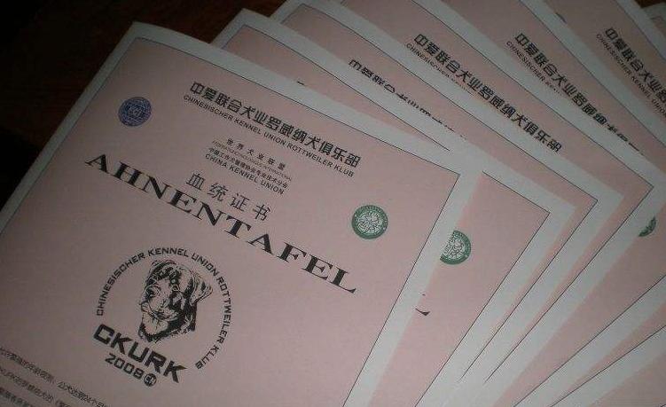 纯种狗狗需要什么证书,双血统狗狗都有什么证书