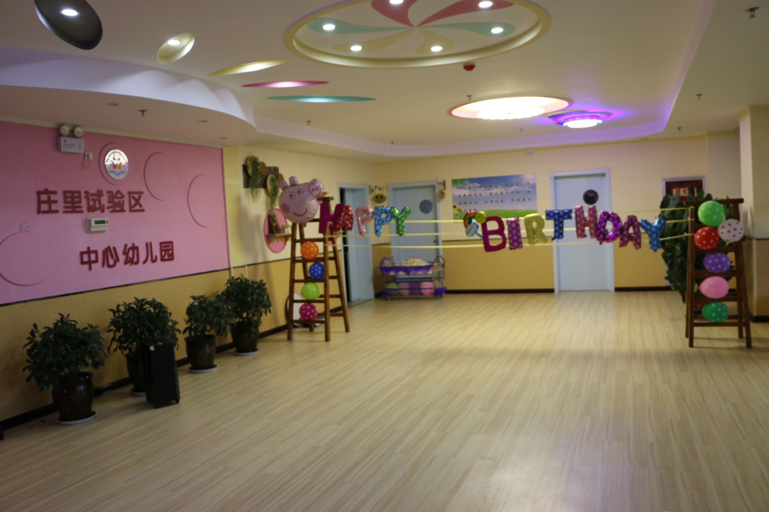 富平:庄里试验区中心幼儿园“森林舞会”主题生日派对