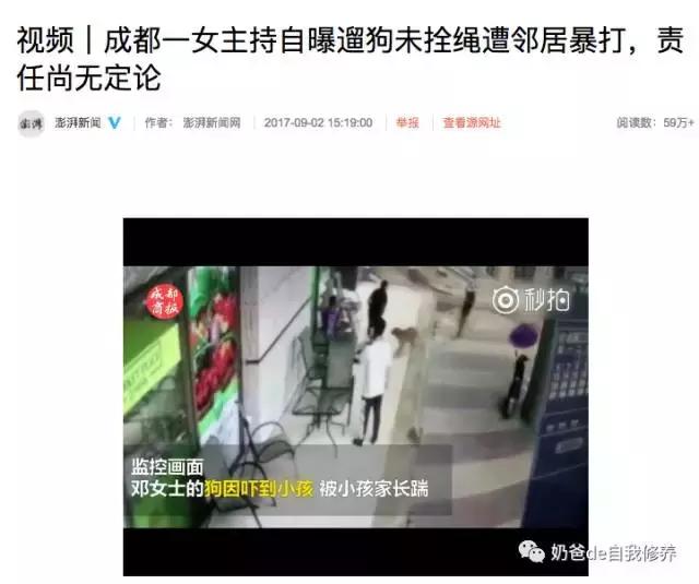 遛狗不牵绳狗害怕,遇到不戴牵引绳的狗怎么处理