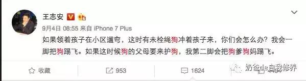 遛狗不牵绳狗害怕,遇到不戴牵引绳的狗怎么处理