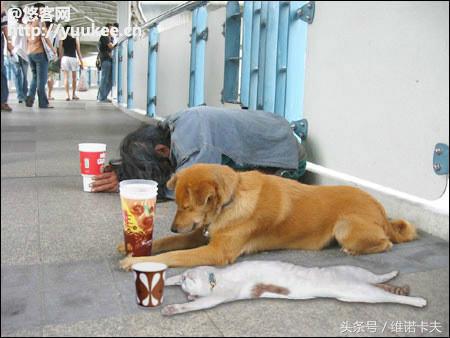 我的生活方式英文歌,我的生活方式英语对话