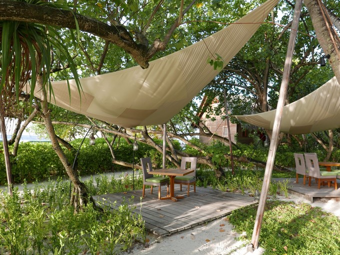 马尔代夫马富士岛浮潜,马尔代夫魔富士