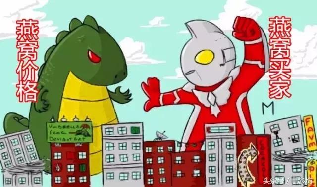 燕窝价格为什么差别那么大,燕窝海参花胶价格上涨