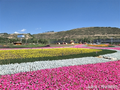 我市新增六条乡村振兴精品示范线,乡村旅游示范点视频