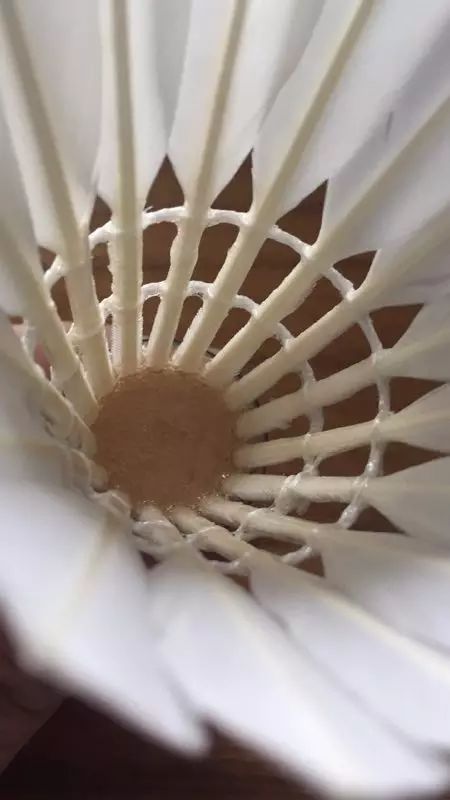 从*片毛**、球头、胶水和工艺，来判断羽毛球的质量，是最可靠的方法