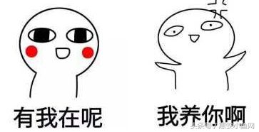 在闽南不仅有四脚蛇,还有四脚鱼,也叫“中国火龙”!