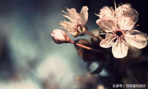 蛋糕店也可以这么文艺?柳州吃瓜群众也是服了~