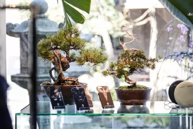 这些小而美的买手店，只有1%的人去过！