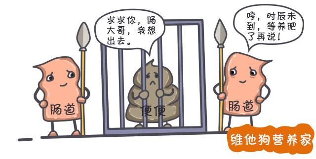 3步解决婴幼儿便秘赶快学起来,宝宝便秘小妙方