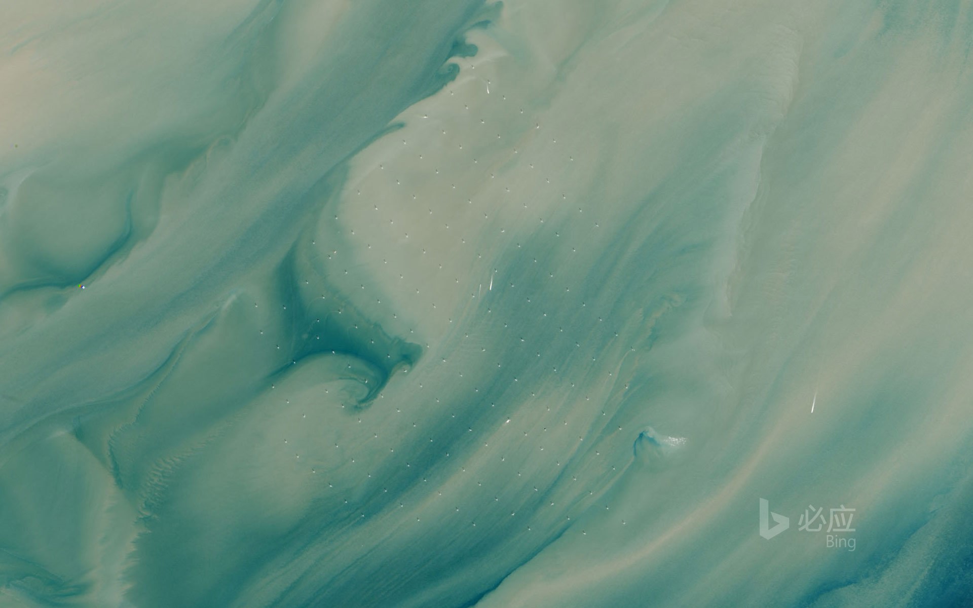 Win7、Win10设置文件夹共享