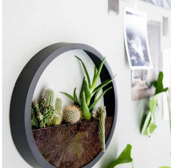 简易花盆diy,diy超大长方形瓷砖花盆视频