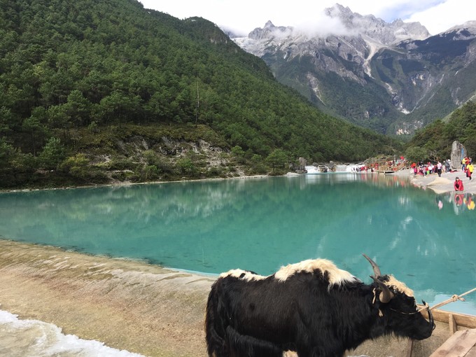 云南大理丽江六日游纯玩团直播,昆明大理丽江双飞六日游多少钱