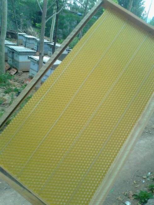 蜜蜂养殖技术500问,蜜蜂养殖技术试题及答案