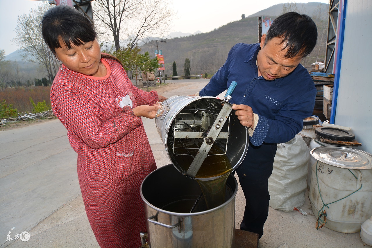 蜜蜂养殖技术500问,蜜蜂养殖技术试题及答案