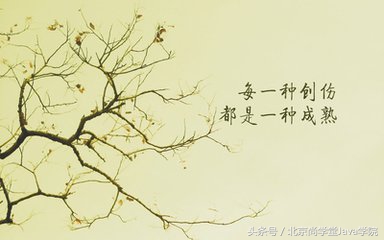 尚学堂讲解,尚学堂真实就业情况