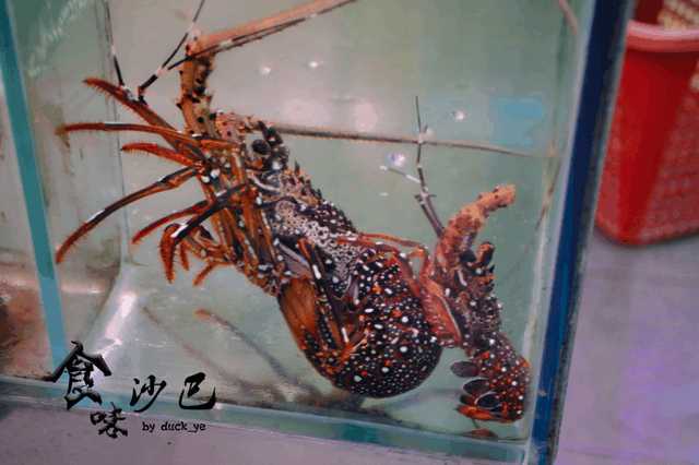 大马有哪些食物,大马必富咸柠檬糖