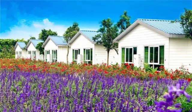 亲子度假胜地森林酒店,隐于山水间的度假胜地