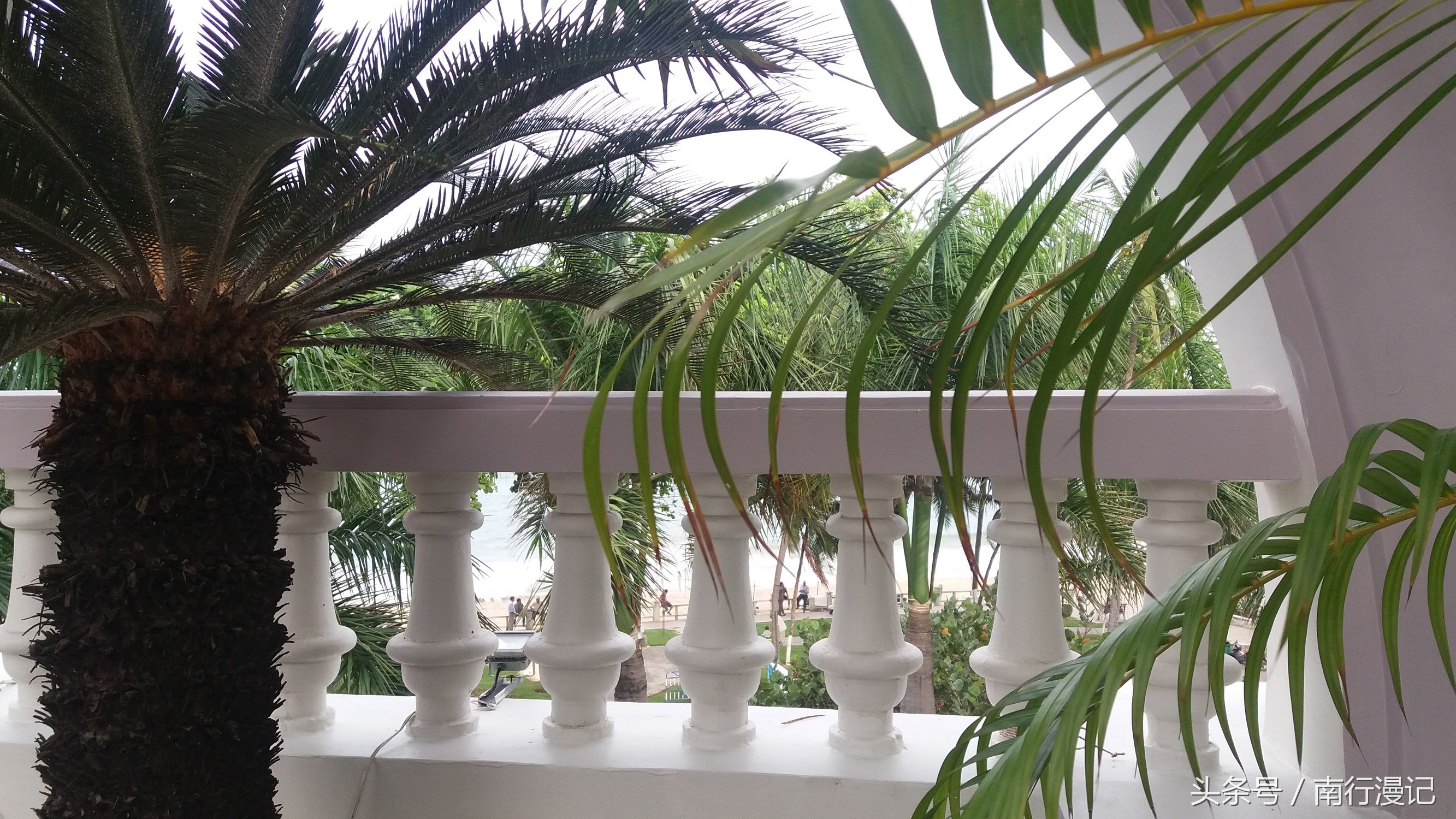 越南芽庄之旅,意料之外的旅行