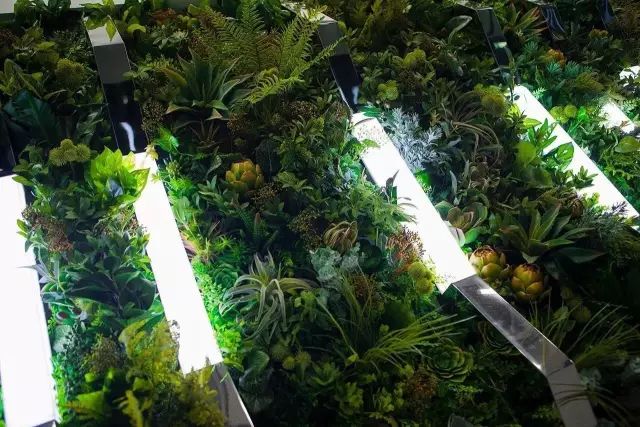 拥有后宫”佳丽三千“的设计师大叔告诉你：什么是美｜手作之美