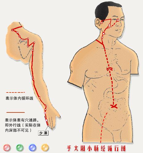 无法解释的经络,无法解剖的经络图解