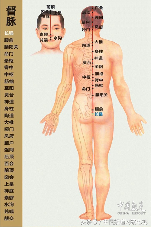 实用的中医经络仪,顶级中医经络疏通技术