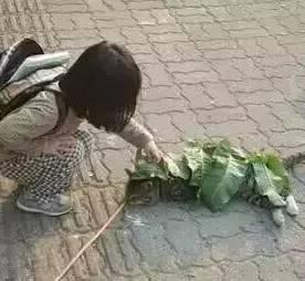 “谢谢你爱我，谢谢你一直都在”看完泪奔！