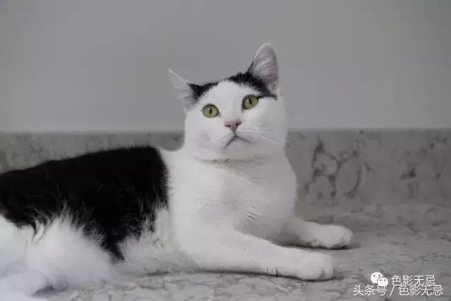 尼康d850数码单反摄影圣经,尼康d850的深度评价