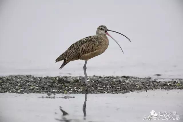 尼康d850数码单反摄影圣经,尼康d850的深度评价