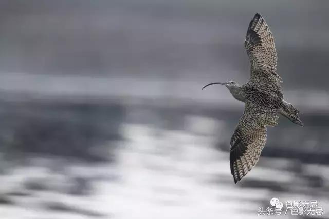 尼康d850数码单反摄影圣经,尼康d850的深度评价