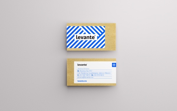 vi设计的风格,地产vi设计案例欣赏