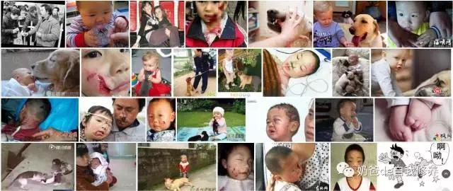 遛狗不牵绳狗害怕,遇到不戴牵引绳的狗怎么处理