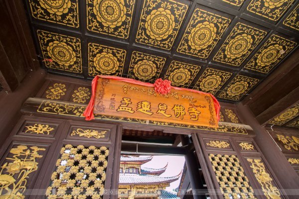 鏅幢椴滀负浜虹煡,鏅幢浣犱笉鐭ラ亾鐨勪簨