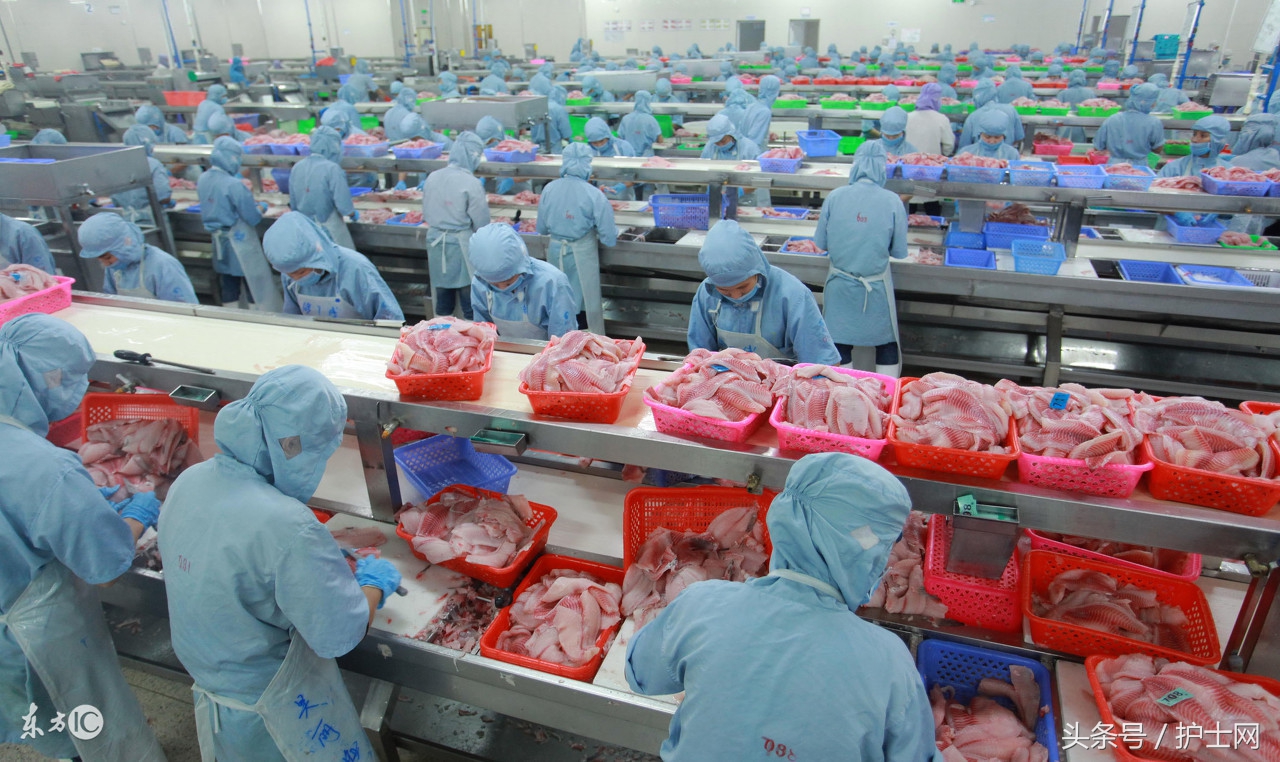 居民区里的菜市场,楼房里的菜市场