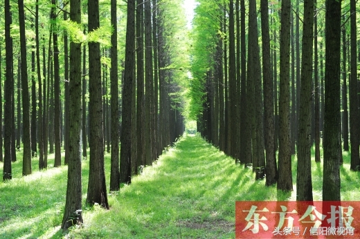 千年古县的变化图,全国年份最长的千年古县