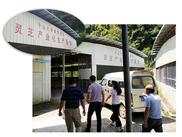 互联网时代乡村电商,乡村电商之路