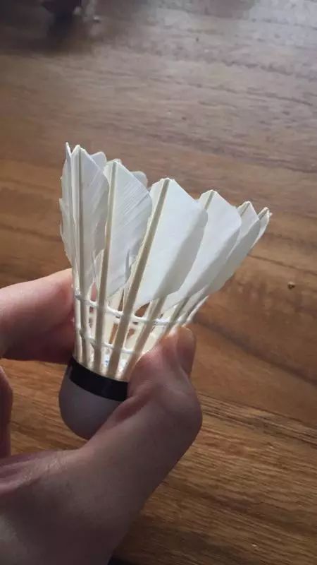 从*片毛**、球头、胶水和工艺，来判断羽毛球的质量，是最可靠的方法