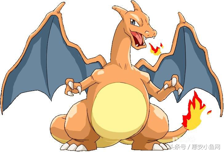 在闽南不仅有四脚蛇,还有四脚鱼,也叫“中国火龙”!